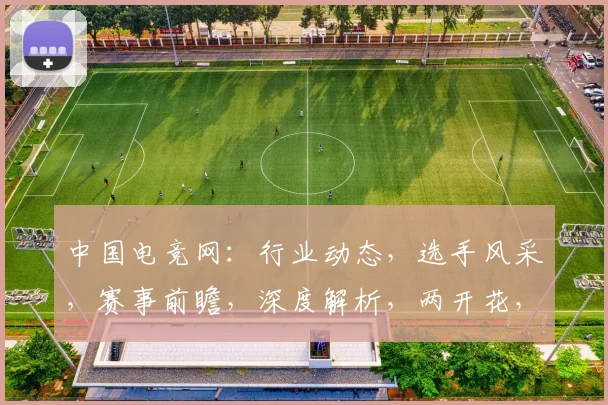 中国电竞网：行业动态，选手风采，赛事前瞻，深度解析，两开花，电竞新纪元