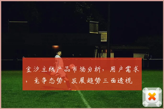 金沙主线产品市场分析，用户需求，竞争态势，发展趋势三面透视