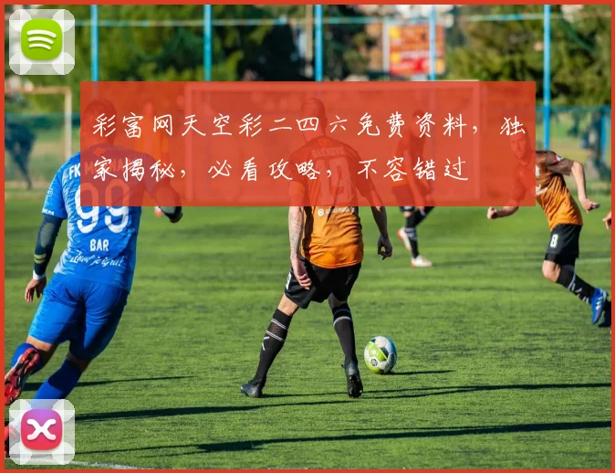 彩富网天空彩二四六免费资料，独家揭秘，必看攻略，不容错过